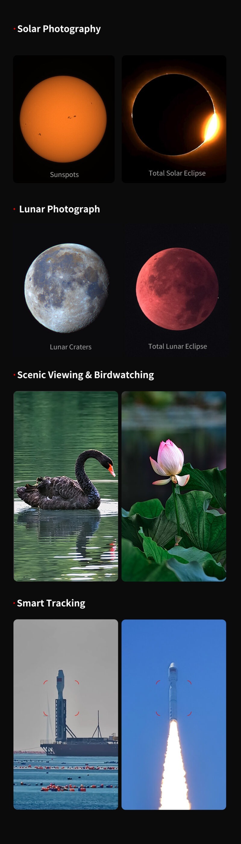 Sun. Moon. Action. Sun. Moon. Action.